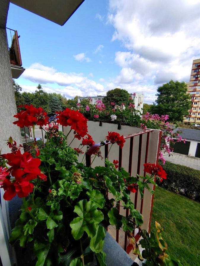 Loft House Sopot Apartament Apartment Exterior photo